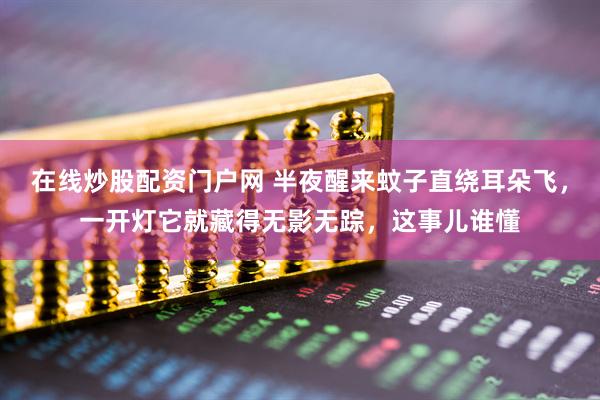 在线炒股配资门户网 半夜醒来蚊子直绕耳朵飞，一开灯它就藏得无影无踪，这事儿谁懂