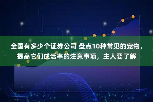 全国有多少个证券公司 盘点10种常见的宠物,提高它们成活率的注意事项,主人要了解